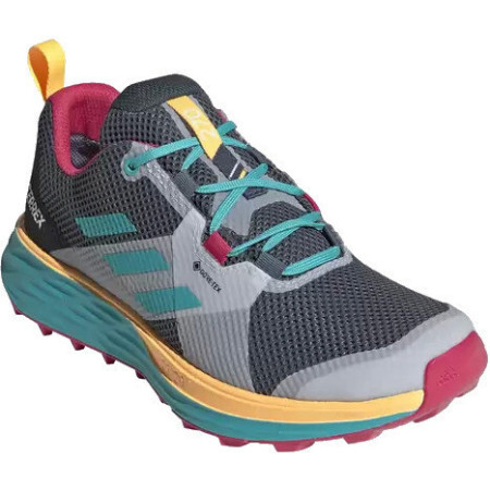 Încălțăminte femei Adidas Terrex Two Gtx W