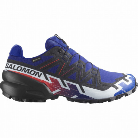 Încălțăminte bărbați Salomon Speedcross 6 Gore-Tex Equipe