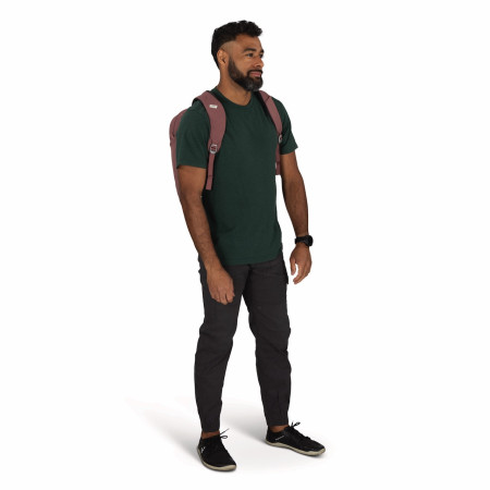 Rucsac Osprey Arcane Extra Large Day