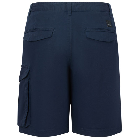 Pantaloni scurți bărbați Regatta Bendrick Shorts