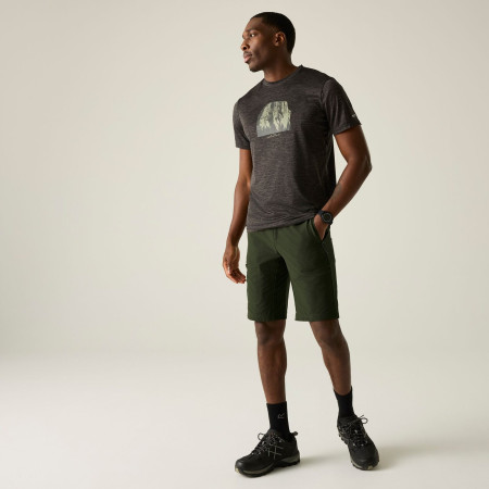 Pantaloni scurți bărbați Regatta Highton Shorts Long II