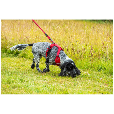 Ham pentru câini Mountain Paws Dog Harness