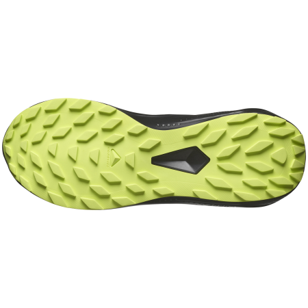 Încălțăminte de alergat pentru bărbați Salomon Alphaglide Gore-Tex