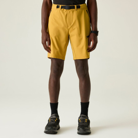 Pantaloni scurți bărbați Dare 2b Tuned In Pro II Short