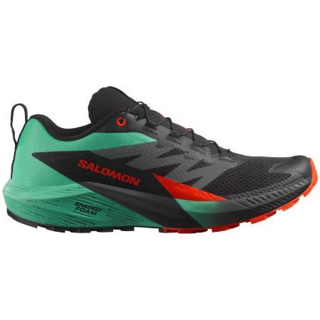 Încălțăminte de alergat pentru bărbați Salomon Sense Ride 5 gri/verde Black / Bay / Cherry Tomato