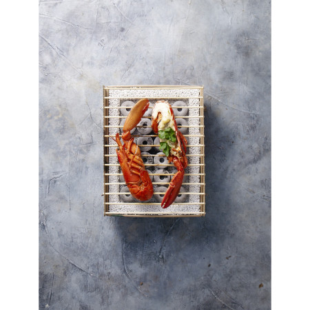 Grătar de unică folosință CasusGrill Gril ecologic