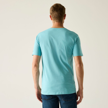 Tricou bărbați Regatta Cline IX