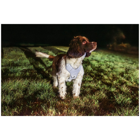 Ham pentru câini Mountain Paws Reflective Dog Harness