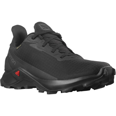 Încălțăminte femei Salomon Alphacross 3 Gore-Tex W negru