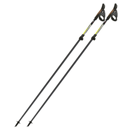 Bețe Nordic Walking Fizan Tekno