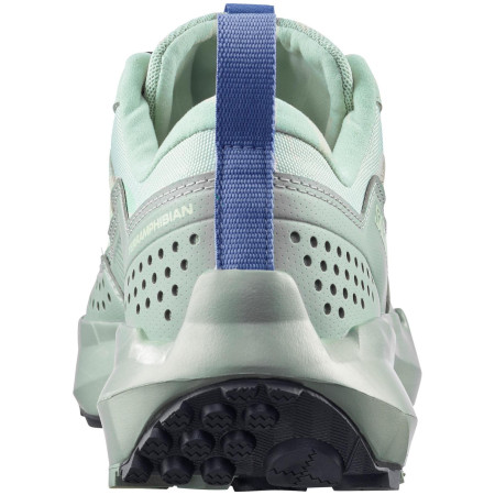 Încălțăminte femei Salomon Terramphibian W