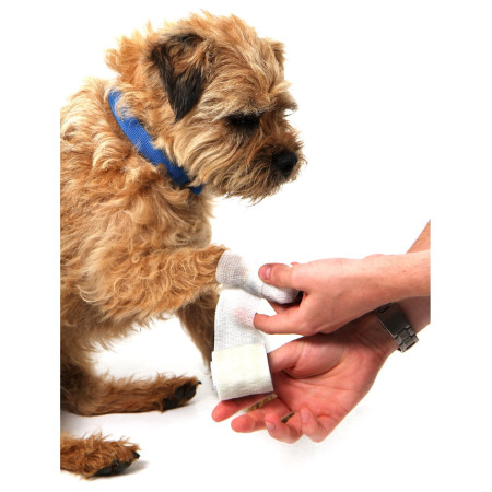 Trusă de prim ajutor pentru câini Mountain Paws Dog First Aid Kit