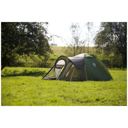 Cort Coleman Darwin 3+