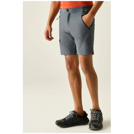 Pantaloni scurți bărbați Regatta Xert Stretch Shorts