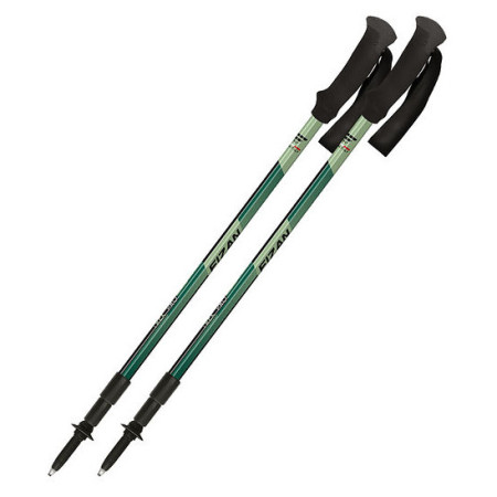 Bețe de trekking Fizan Trek Pro