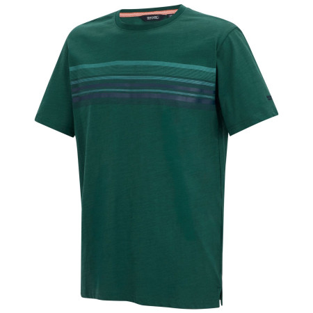 Tricou bărbați Regatta Rendro