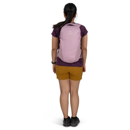 Rucsac urban Osprey Daylite