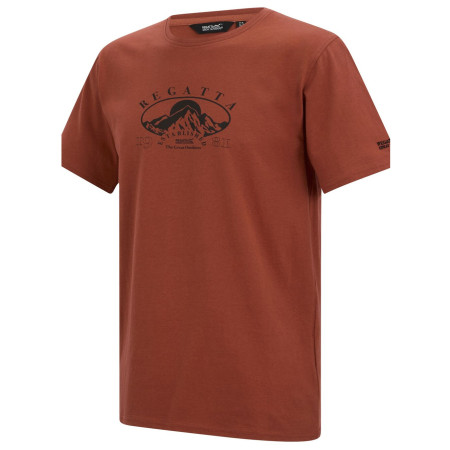 Tricou bărbați Regatta Cline IX