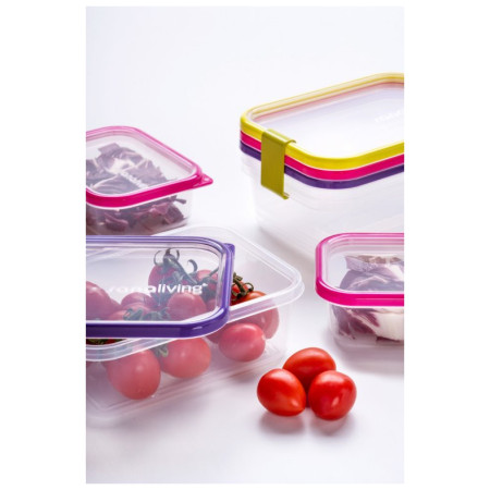 Cutie pentru mâncare Omada Sanaliving Box Set 3x 19x14x13,5cm/2,1L