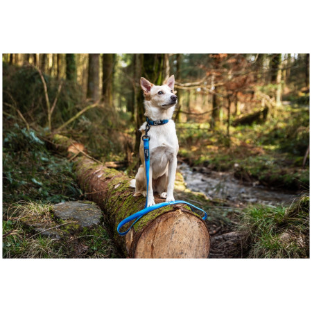 Lesă pentru câini Mountain Paws Waterproof Dog Lead
