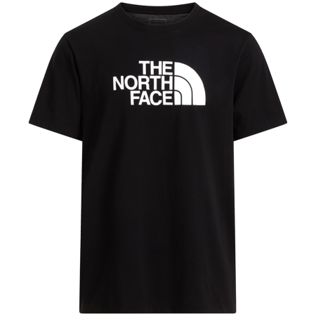 Tricou bărbați The North Face Evolution Half Dome Regular Short Slee