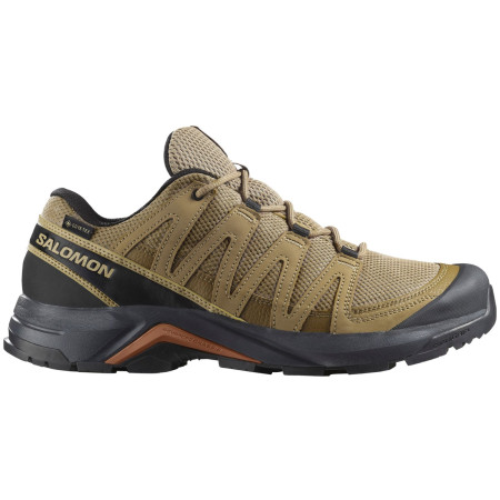 Încălțăminte turistică bărbați Salomon X-Adventure Recon Gore Tex