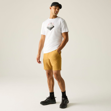 Tricou bărbați Regatta Fingal Graphic T-Shirt