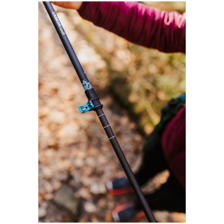 Bețe de trekking Warg Carbon Lock