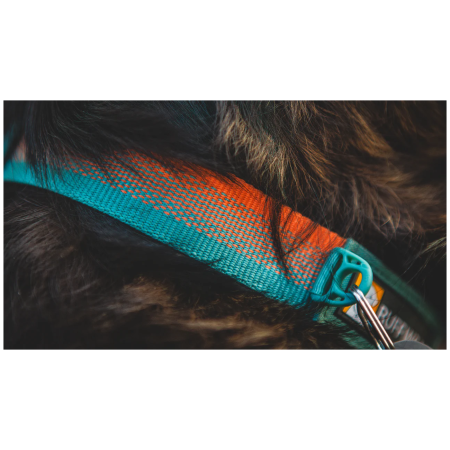 Zgardă pentru câini Ruffwear Front Range™ Collar