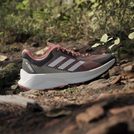 Încălțăminte de alergat pentru femei Adidas Terrex Soulstride Flow W