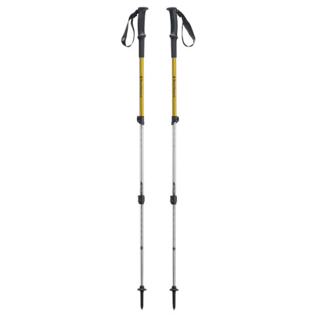 Bețe de trekking Black Diamond Trail Sport 3 argintiu/galben