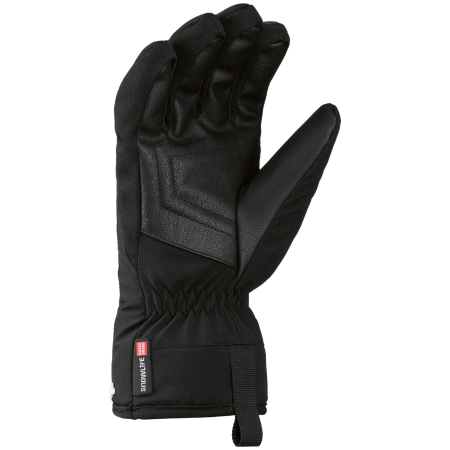Mănuși de schi bărbați SnowLife Vivid DT Glove