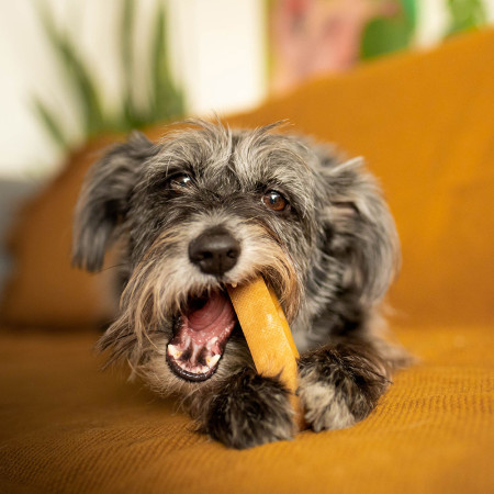 Jucărie pentru câini Explorer Dog Himalayan Chew