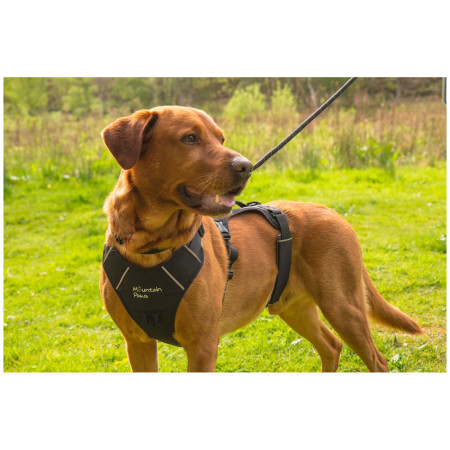 Ham pentru câini Mountain Paws 3-Strap Dog Harness