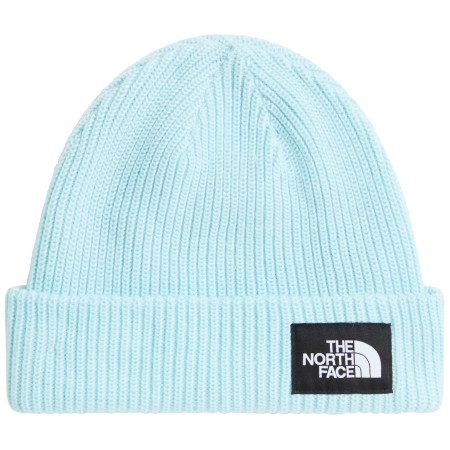 Căciulă The North Face Salty Lined Beanie