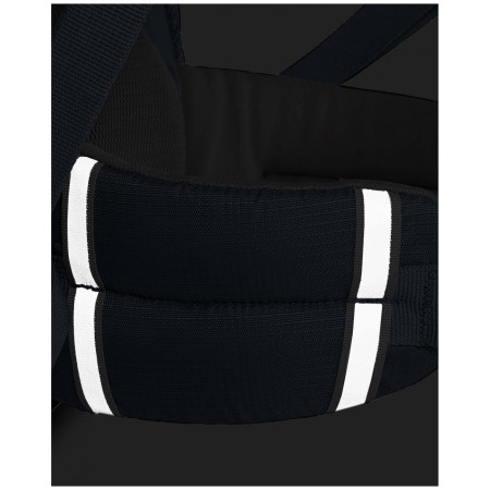 Ghiozdan clase primare Boll School Mate 20 Giraffe