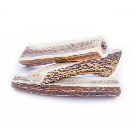 Jucărie pentru câini Explorer Dog Antler Chew easy