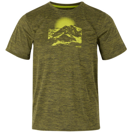 Tricou bărbați Regatta Fingal IX verde închis NephrtGrnMrl