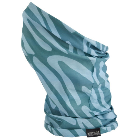 Fular multifunțional copii Regatta Kids Printed Multitube II verde Sprgrn/GrHzA