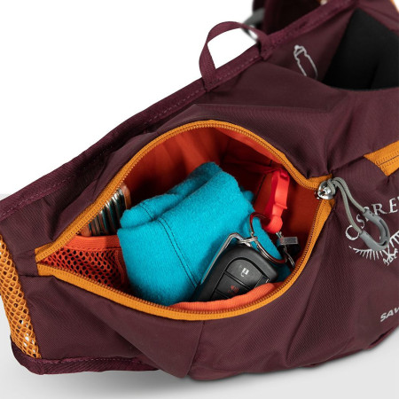 Borsetă Osprey Savu 2