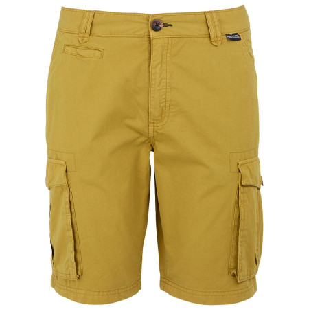 Pantaloni scurți bărbați Regatta Shorebay Shorts II verde deschis Mustard