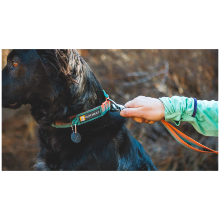 Zgardă pentru câini Ruffwear Front Range™ Collar