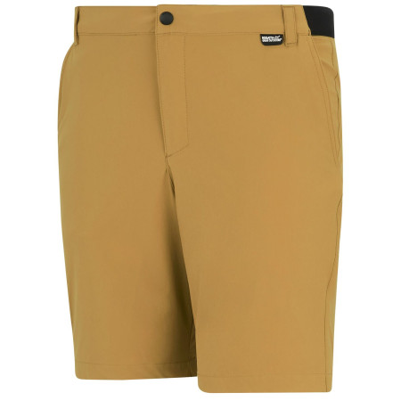 Pantaloni scurți bărbați Regatta Anti-Insect Travel Light Shorts