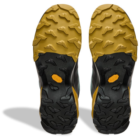 Încălțăminte de trekking pentru bărbați Dynafit Transalper 2