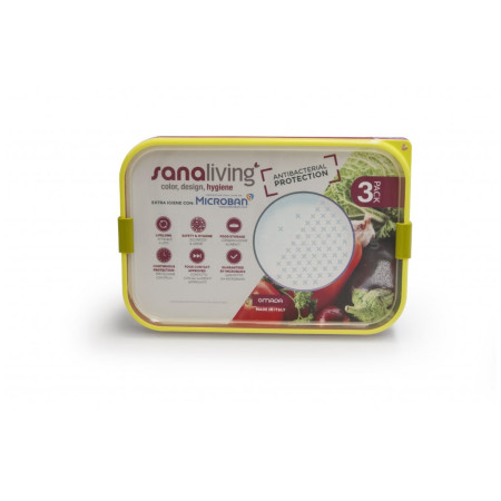 Cutie pentru mâncare Omada Sanaliving Box Set 3x 24x16,5x5cm/1L
