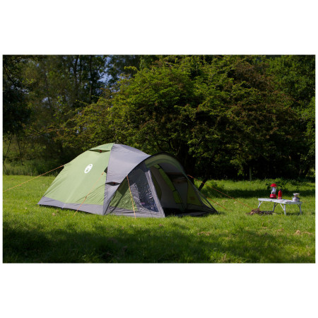 Cort Coleman Darwin 3+