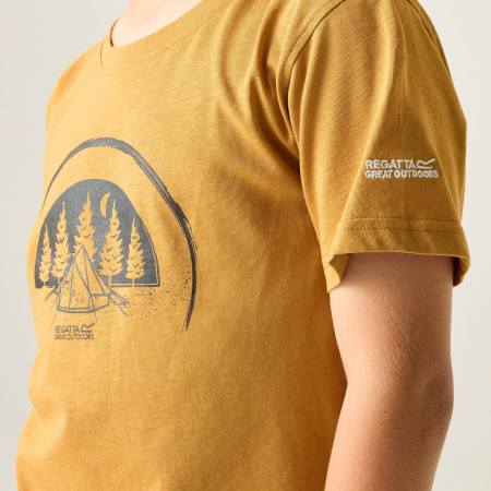 Tricou copii Regatta Bosley Wood Brown