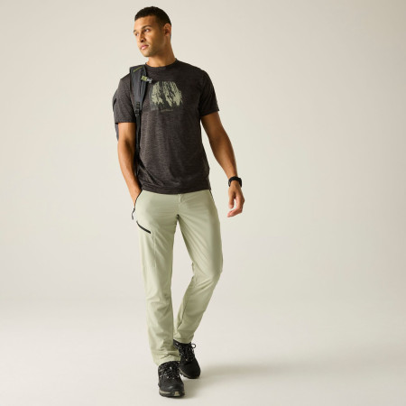 Pantaloni bărbați Regatta Xert Stretch Trousers