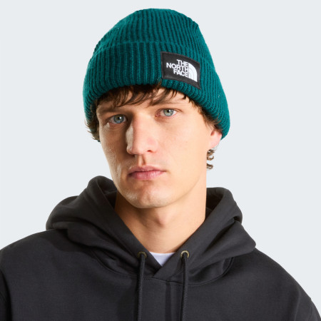 Căciulă The North Face Salty Lined Beanie