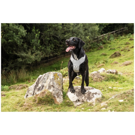 Ham pentru câini Mountain Paws Reflective Dog Harness